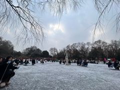 -北陵公园