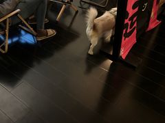-Lazy Time Massage南亚按摩小馆(大悦城店)