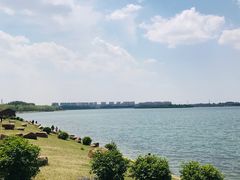 -丁香湖公园