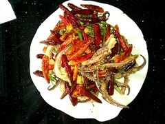 干煸鱿鱼须-胶东海鲜大排档(北太平庄店)