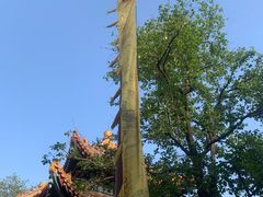 -雍和宫