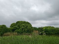 -池州市平天湖风景区