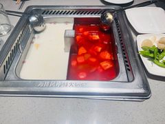 番茄锅底-海底捞火锅(团结桥店)