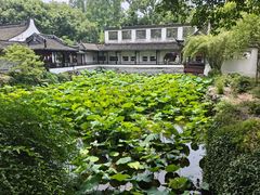 -上海醉白池公园