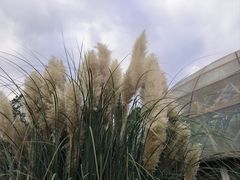 -昆明市金殿名胜区
