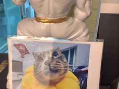 -逃脱反斗城沉浸剧情密室(北京路店)