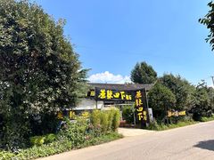 -蘑统田下·野生菌火锅