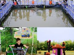 -菊园百果园