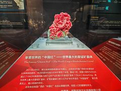 -湖南省地质博物馆