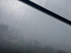 -悦厅·下午茶(杭州柏悦酒店)