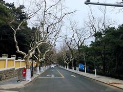 -八大关景区