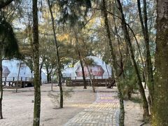 -马銮湾景区