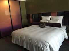 -南京禄口机场雅高铂尔曼大酒店