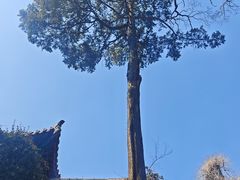 -青岛崂山太清宫