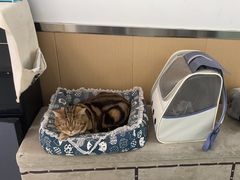 -瑞派雷欧宠物医院·中兽医·眼科·急重症转诊中心(黄台店)