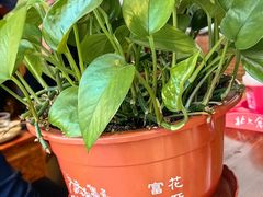 -阿春传统老菜馆(民航路店)