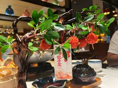 -唐猫庭院·千年陕菜(大唐不夜城店)