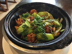 生嗜芥菜鲜鱼滑-日昌餐馆(亦庄店)