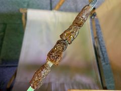 -李军力烧烤(瑞达路店)