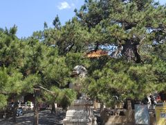 -潭柘寺景区