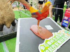 -大明宫国家遗址公园·御道广场