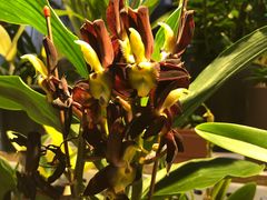 -三旗百汇商品城