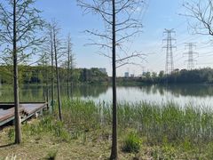 -昆山城市生态森林公园