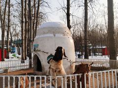 -1982农场
