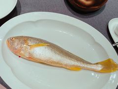 黄鱼-荣府宴(南阳路店)