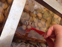 古兜温泉综合度假区-江门古兜温泉小镇
