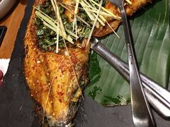 -云海肴·汽锅鸡·云南菜(天津国金汇店)