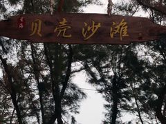 -贝壳沙滩