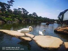 -罗红摄影艺术馆