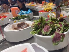 -龍歌自助小火锅(秦淮水游城店)