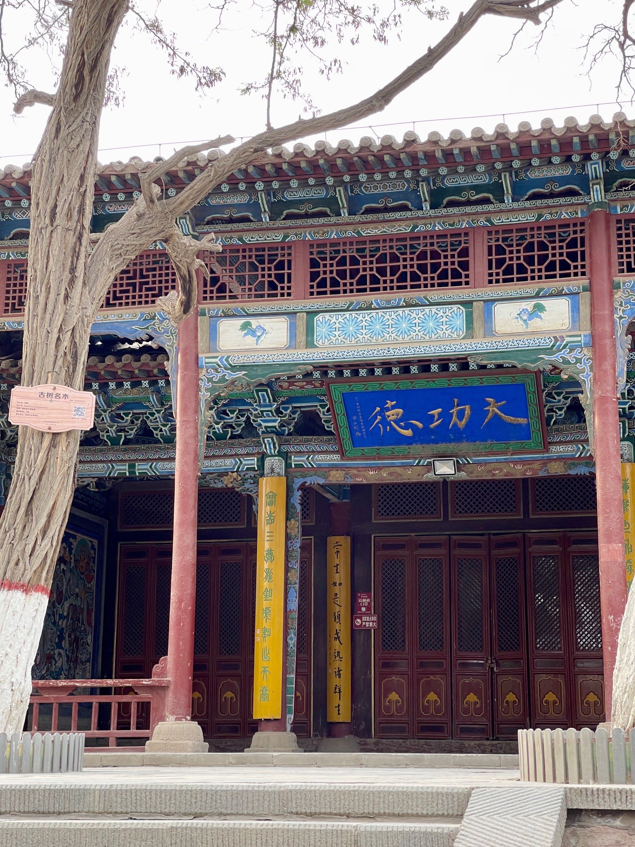 张掖|千年寺院·西夏国寺·大佛寺