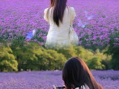 -共青国家森林公园-售票处