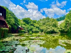 -野象谷景区