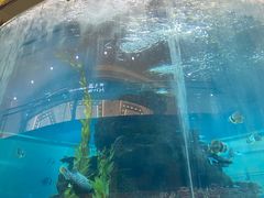 -鸿通城购物中心