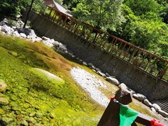 -青峰峡国家森林公园