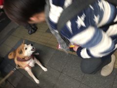 -みかわ是山居