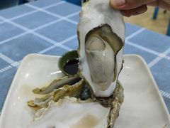 清蒸生蚝-明记海鲜大排档(巽寮湾店)