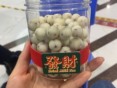 -暴暴熊