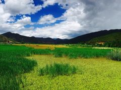 -泸沽湖国家级风景名胜区走婚桥