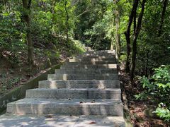 -火炉山森林公园
