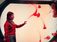 -沈阳海洋探索中心