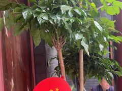 -秦扬居特色菜馆(上王村)