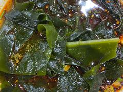 海带-包面西施(黄泥磅总店)