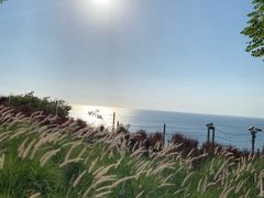 -Rock Bar Bali(Bali)