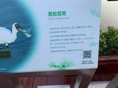 -福田红树林生态公园