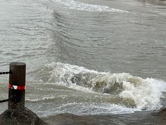 -海沧湾公园